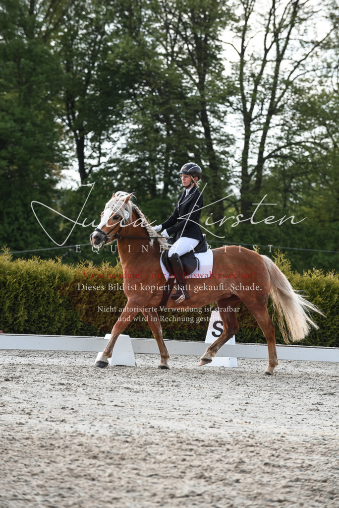 20230518_JK-Röhrsdorf-09-1625 | Pferde- und Turnierfotografie in Westsachsen. Pferdeportraits, Auftragszeichnungen und intuitive Kunst.