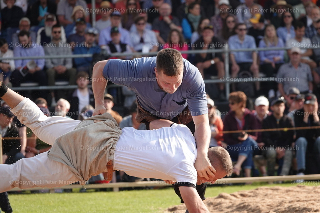 DSC04457 | Schwingen - Realisiert mit Pictrs.com