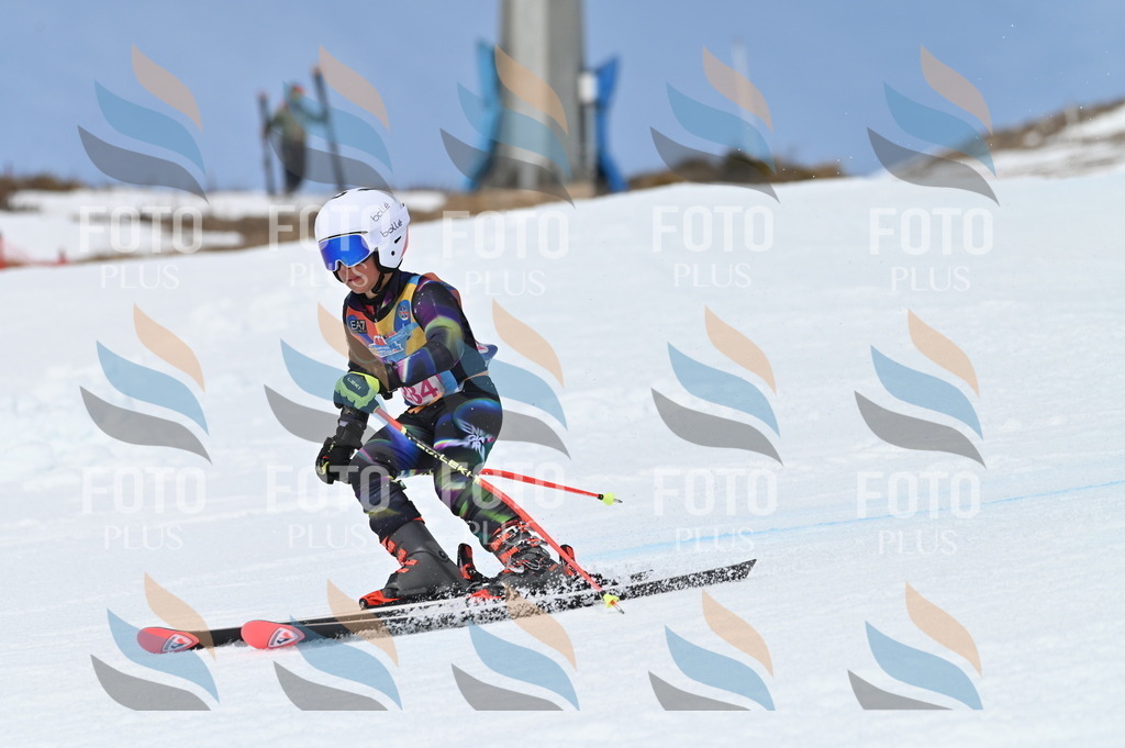 BGV_2495 | holidayphoto