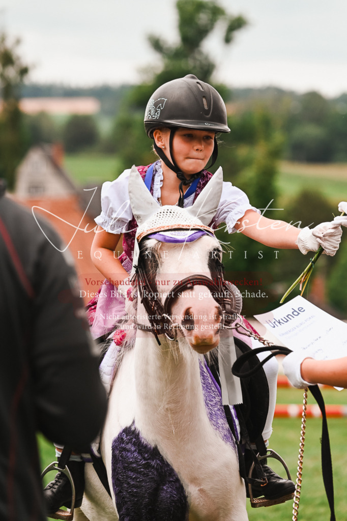 DSC_7479 | Pferde- und Turnierfotografie in Westsachsen. Pferdeportraits, Auftragszeichnungen und intuitive Kunst.