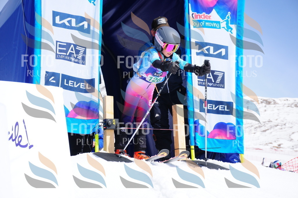 DSC_1040 | holidayphoto