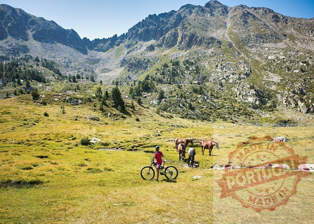 Cyclist with bike meeting horses in Pyrenees mountains | Cyclist standing with a mountain bike near wild horses grazing in a Pyrenees mountain meadow - Realized with Pictrs.com