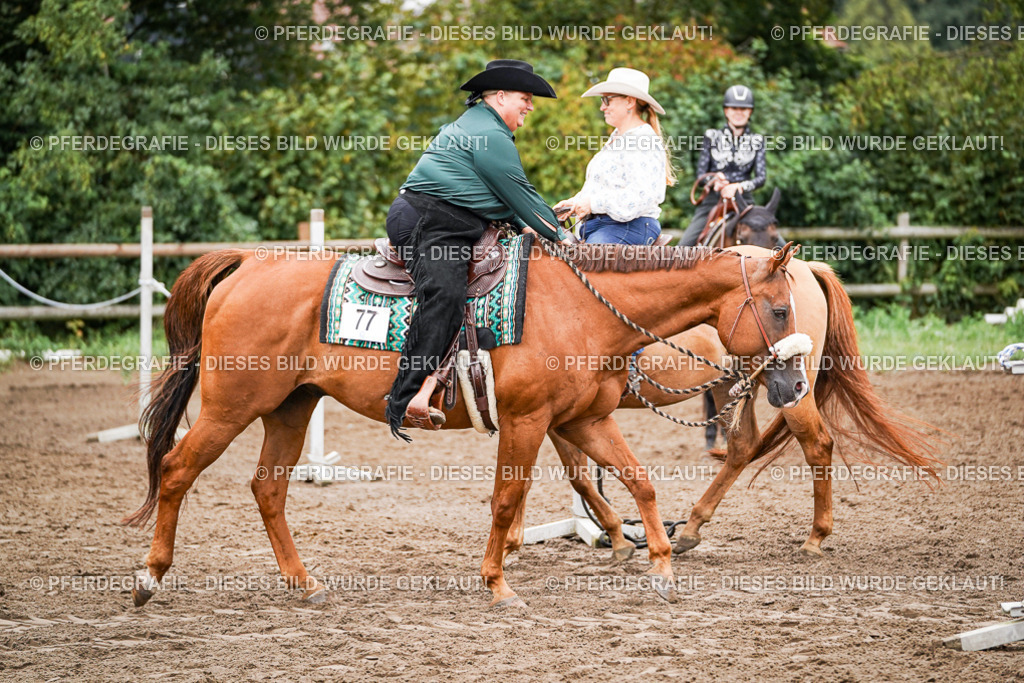 DSC02899 | Pferdegrafie