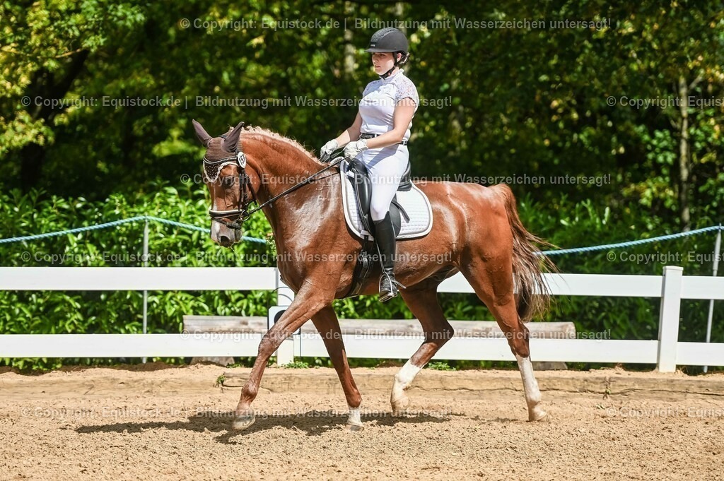 20230715_02_Dressurreiterprüfung Kl.L_0230 | equistock