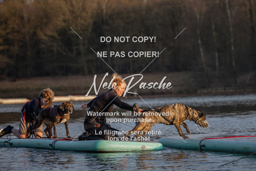 nelerasche_Hulsbeek_Sa1730-Ende_253 | nelerasche
