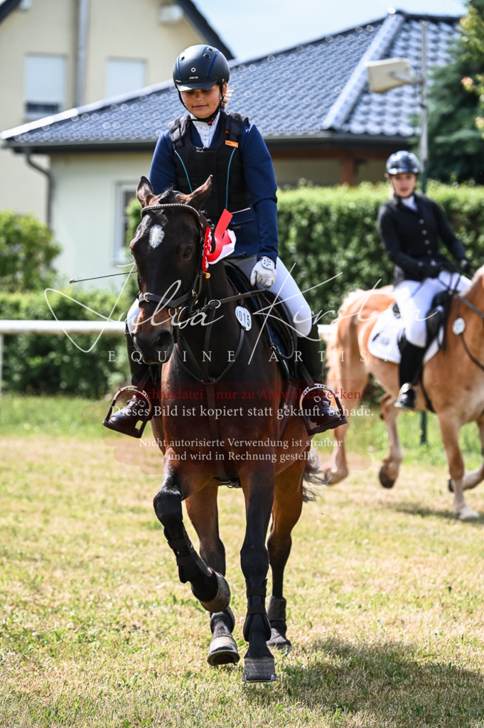 DSC_8635 | Pferde- und Turnierfotografie in Westsachsen. Pferdeportraits, Auftragszeichnungen und intuitive Kunst.