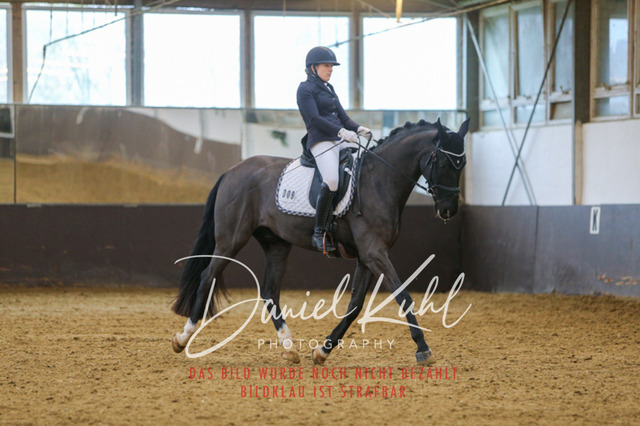 IMG_7788 | Turniersportfotografie; Pferdefotografie; Dressurfotografie