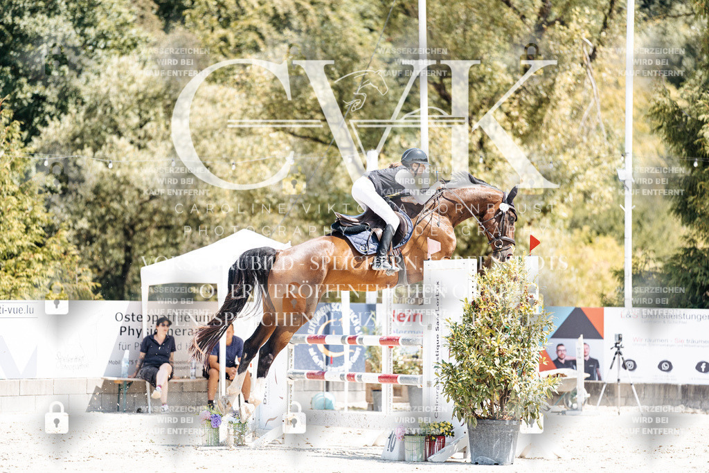 CK900358 | Turnierfotografie Pferdefotografie Trier Rheinland-Pfalz Pferdesport Reitsport Tierfotografie Sportfotografie Pferdevideo Pferdevideografie Equestrianvideography equestrianphotography  - Realisiert mit Pictrs.com