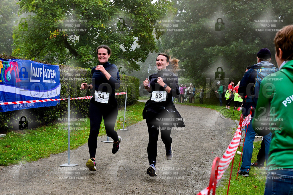 Z8N_2103 | la-psv - Realisiert mit Pictrs.com