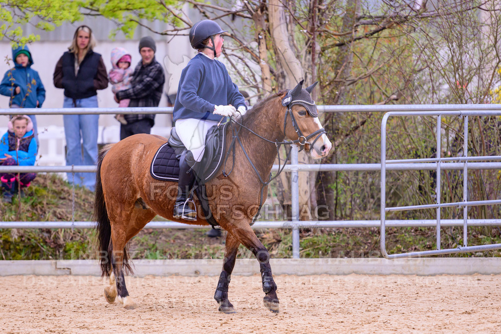 12042026-Mammendorf-Prfg40-1595 | Fokus Hufschlag Fotografie - Realisiert mit Pictrs.com
