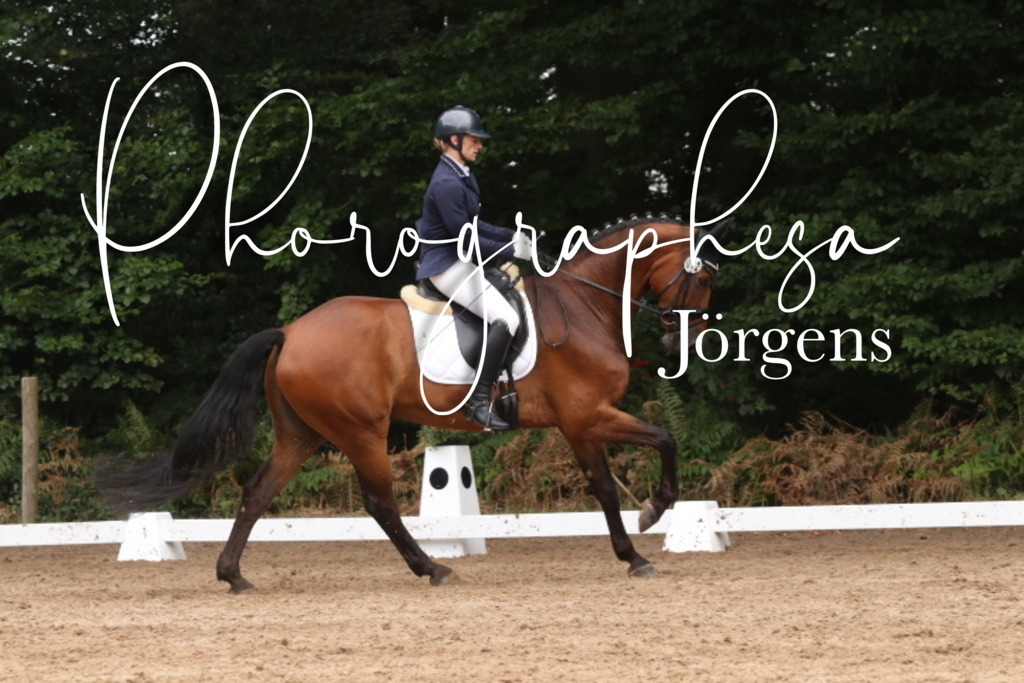 IMG_9676 | photographesa-joergens - Realisiert mit Pictrs.com