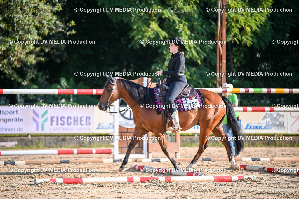 ZS1_3303 | dv-media-shop - Realisiert mit Pictrs.com