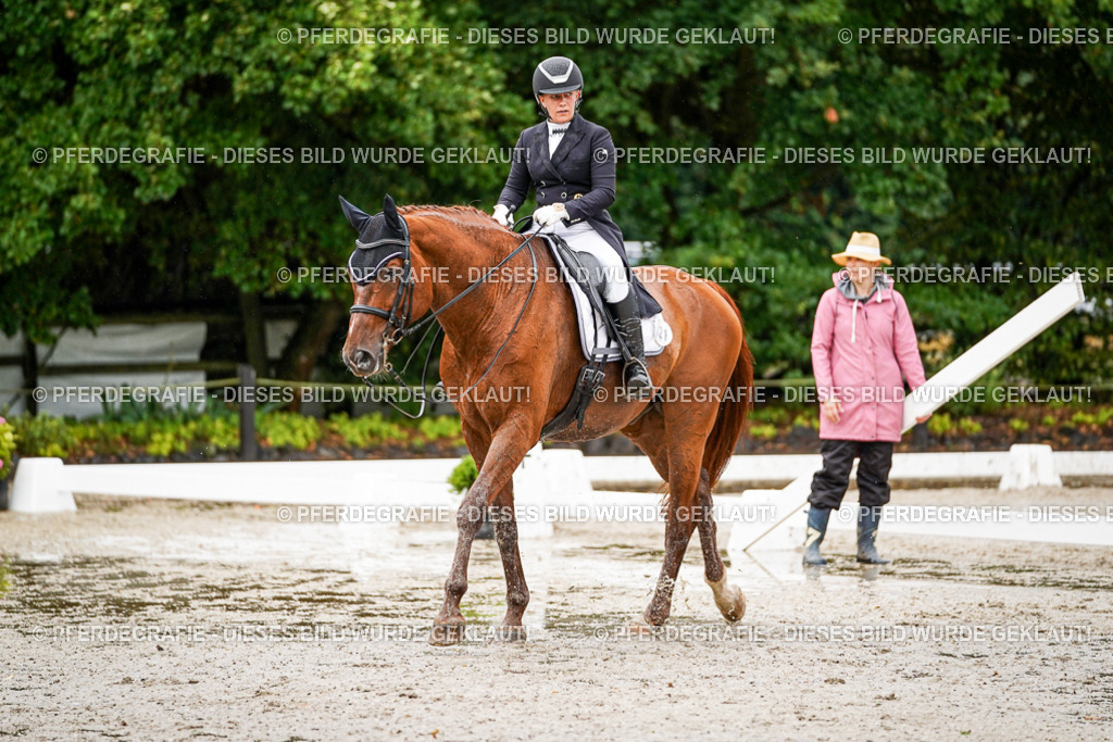 DSC09615 | Pferdegrafie