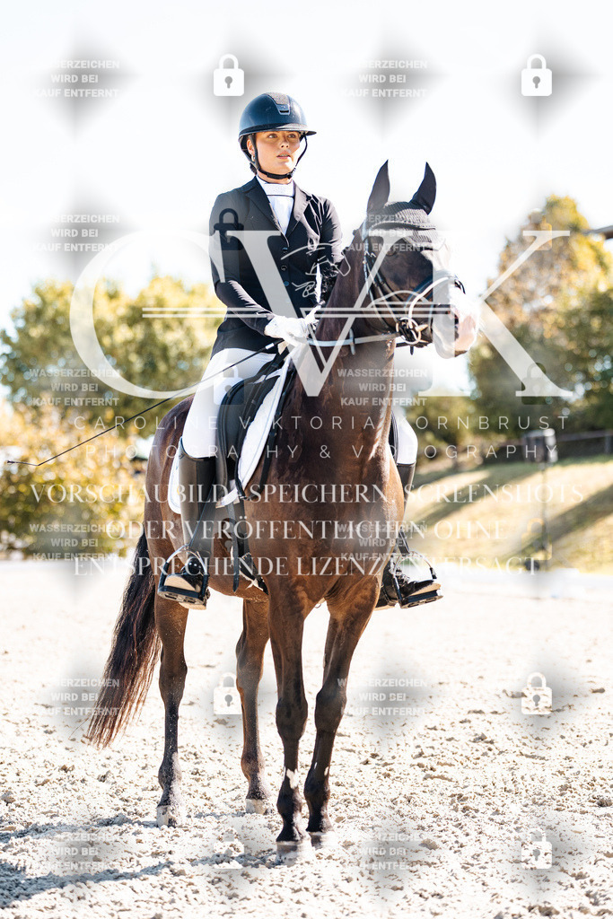 CK909112 | Turnierfotografie Pferdefotografie Trier Rheinland-Pfalz Pferdesport Reitsport Tierfotografie Sportfotografie Pferdevideo Pferdevideografie Equestrianvideography equestrianphotography  - Realisiert mit Pictrs.com