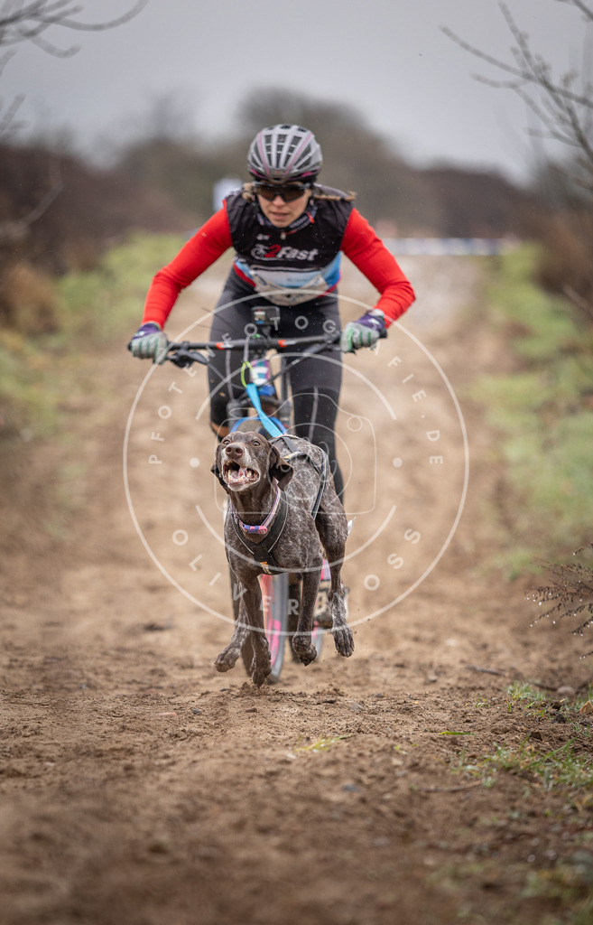 DV3A8848 | Hundefotografie, Tierfotograf, Pfotenfotografie, Fotoshooting Hund, Hunde Portrait, Hundesport, Hundeportraits, Heideshooting, Hunde, Sportfotograf, Hundefotograf, Turnierhundsport, THS,  - Realisiert mit Pictrs.com