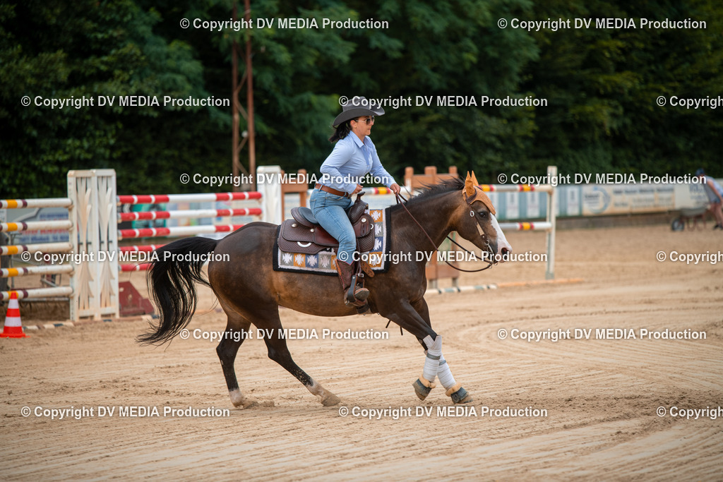 ZS2_8703 | dv-media-shop - Realisiert mit Pictrs.com