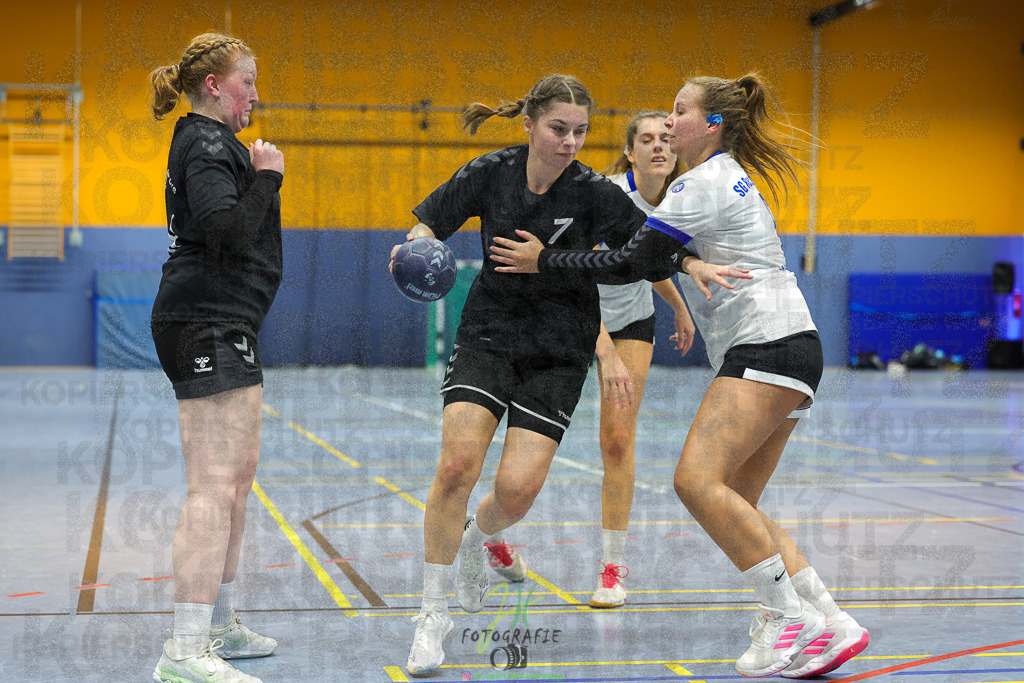 Frauen 2. Bezirksklasse, SG Rechtenbach - HSG Kleenheim/Langgöns III | Frauen 2. Bezirksklasse, SG Rechtenbach - HSG Kleenheim/Langgöns III am 16.11.2024 in Rechtenbach (Sporthalle Rechtenbach)Photo © 2024 - Jörg Heinrich - Realisiert mit Pictrs.com
