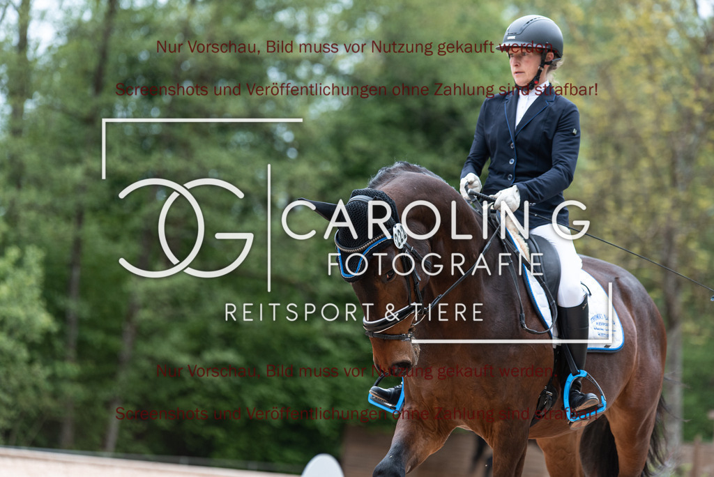 DSC_6822 | Turnierfotografin Carolin Gieschke,Reitsport Turnierfotografie Carolin G Fotografie | Turnierfotos aus Kirchheim/Teck, Esslingen, Stuttgart und dem Bodenseekreis