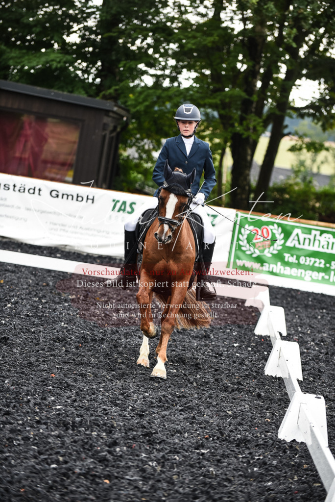 DSC_2836 | Pferde- und Turnierfotografie in Westsachsen. Pferdeportraits, Auftragszeichnungen und intuitive Kunst.