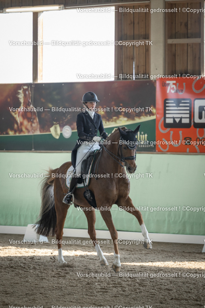 _D5A0089 | Emotionale Pferde- & People-Fotografie rund um Heidelberg, Leimen & Umgebung. Natürliche Fotos von Pferd, Mensch & Familie. Jetzt Termin sichern!