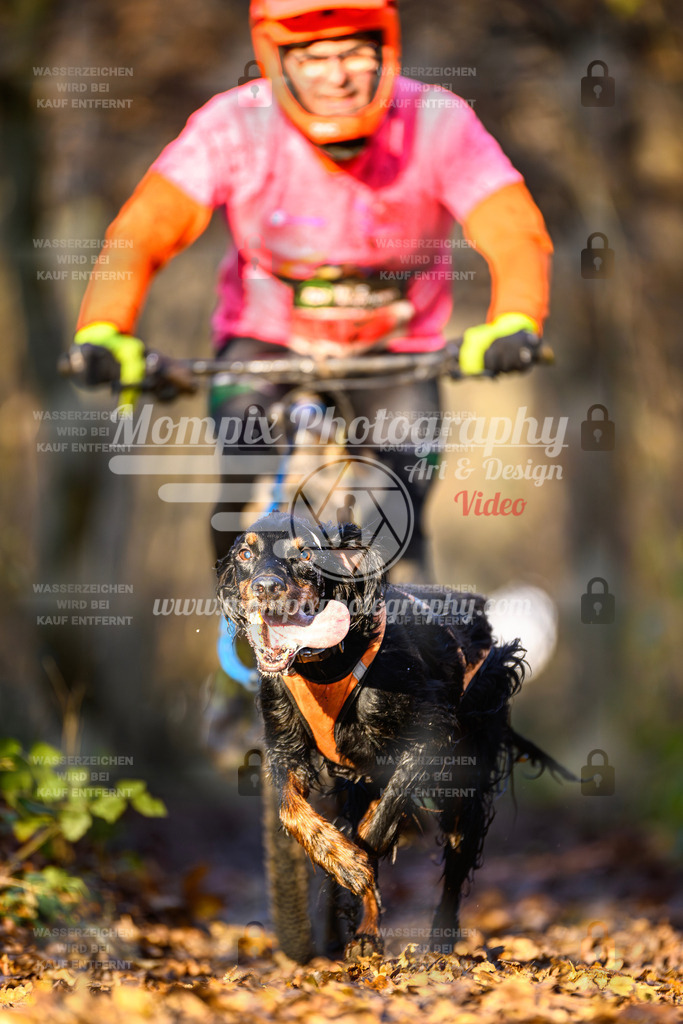 MompixPhotography_Eschau2024_Bike-36 | PayLife
