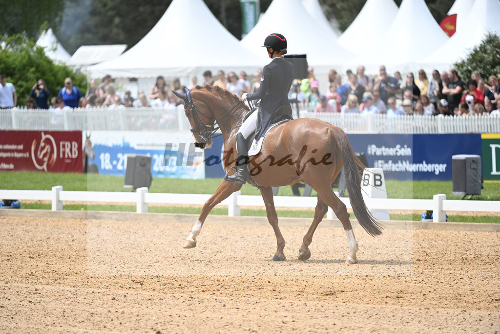 Baer_Superstar_11233750 | hf-fotografie - Realisiert mit Pictrs.com