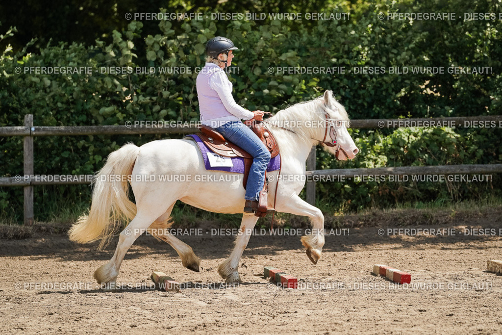 DSC07262 | Pferdegrafie