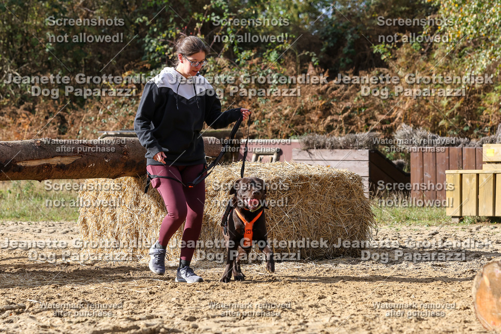 Dog Paparazzi - Strongdog 10-25-5053 | Dog Paparazzi Jeanette Grottendiek Fotografie & Videografie - Realisiert mit Pictrs.com