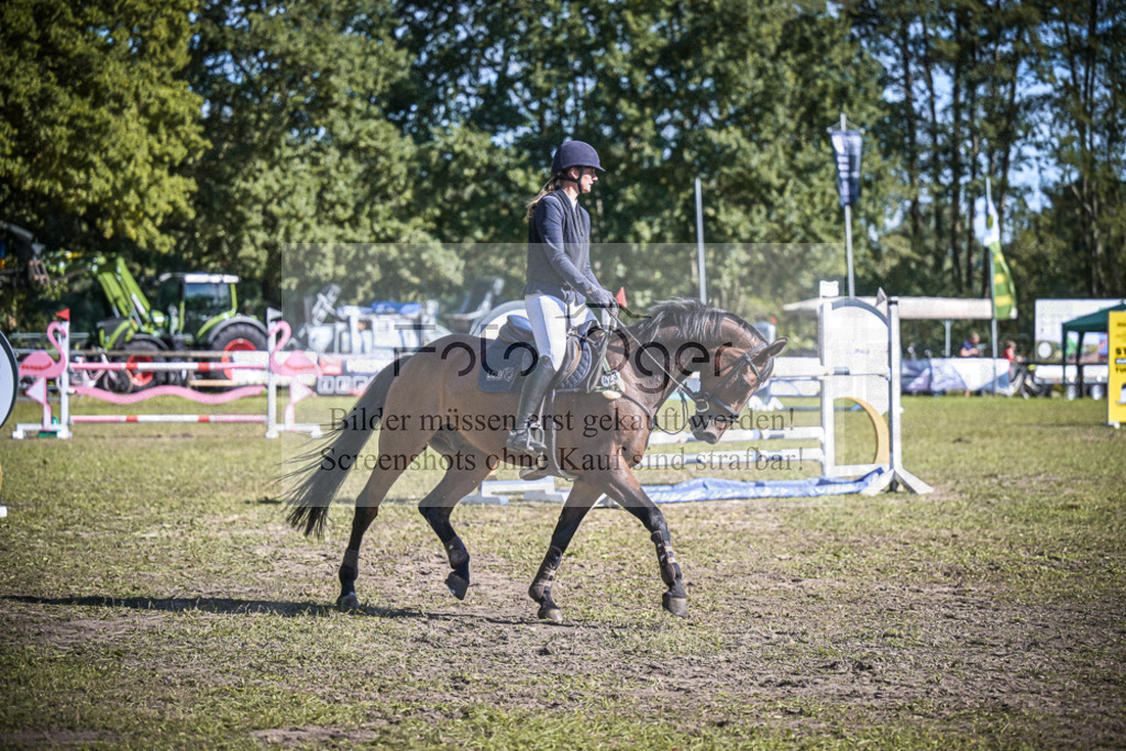 DOS_0009 | Entdecke hochwertige Reitturnierfotos von Foto Oger. Professionell, emotional und authentisch – jetzt Lieblingsmomente im Shop bestellen.Deutschlandweite Turnierfotografie. - Realisiert mit Pictrs.com