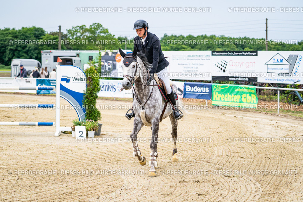 DSC06761 | Pferdegrafie