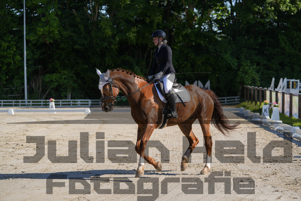 DSC02849 | Julian Held Fotografie - Realisiert mit Pictrs.com