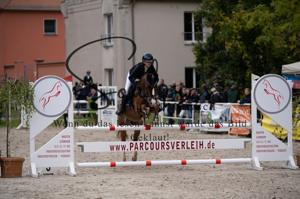 A7V08209 | Pferdefotograf