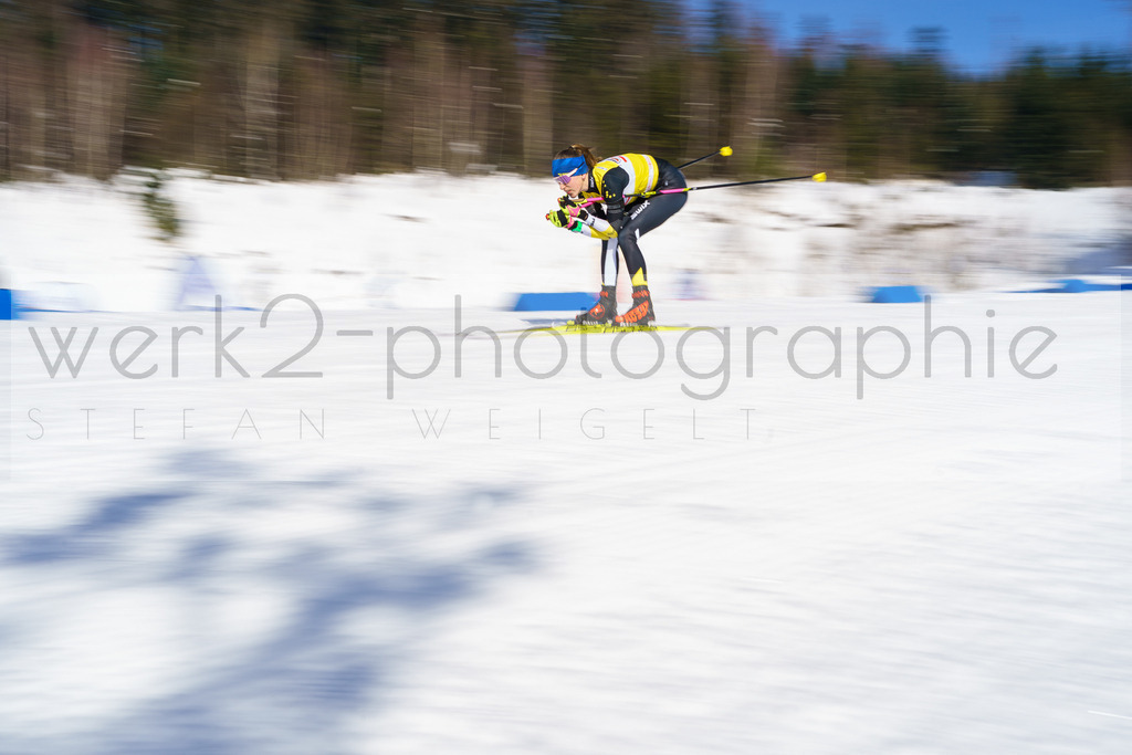DSC Arber | Bayerischer Wald am 9. bis 12. Februar 2023
