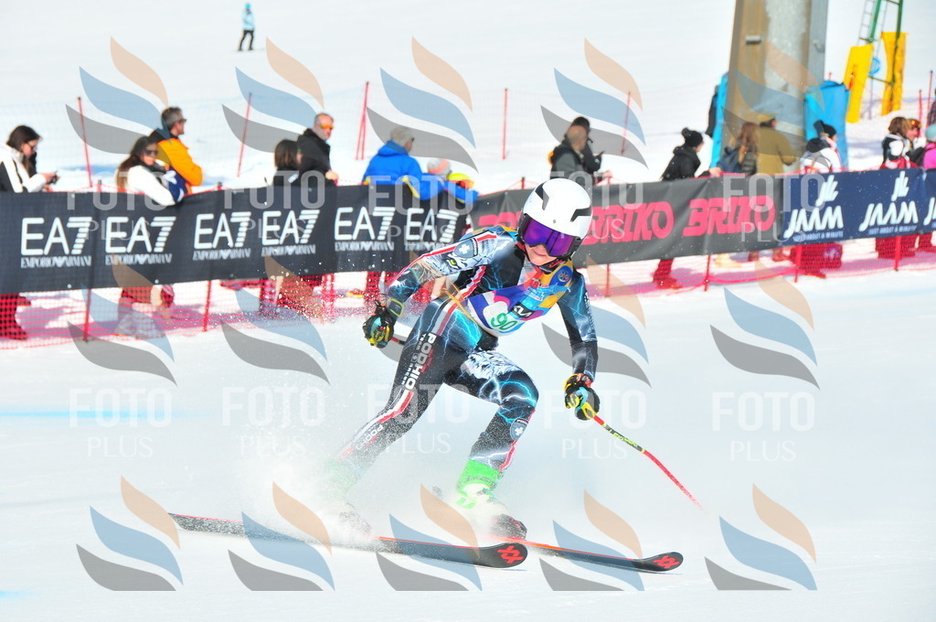 DSC_0585 | holidayphoto