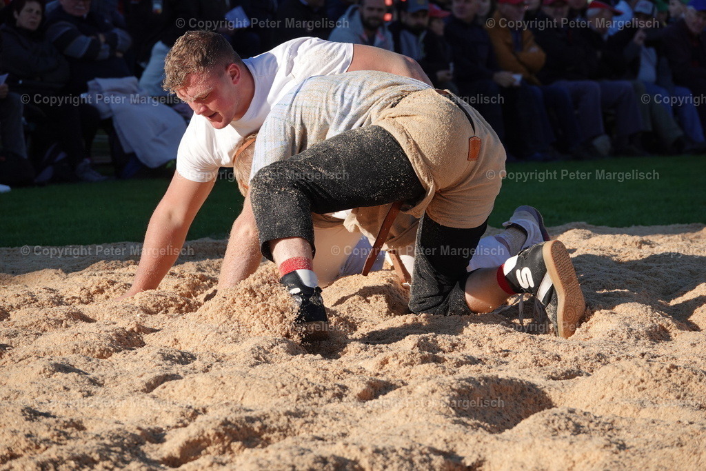 DSC01942 | Schwingen - Realisiert mit Pictrs.com