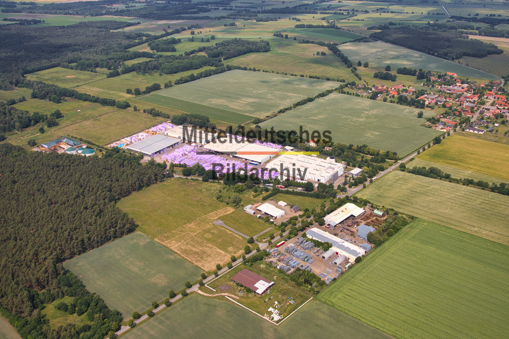 31_Mechau_IMG_Altmark_gelb_3904 | Die schönsten Luftbilder von Sachen-Anhalt & Mitteldeutschland als Bilddatenbank zur kommerziellen Nutzung. Nutzen Sie unsere Erfahrung seit 2005 in der Luftbildfotografie. - Realisiert mit Pictrs.com