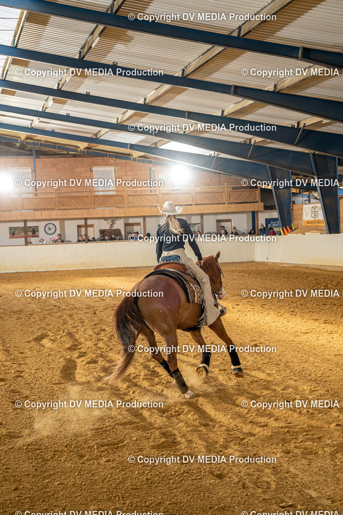 MIT01046 | dv-media-shop - Realisiert mit Pictrs.com