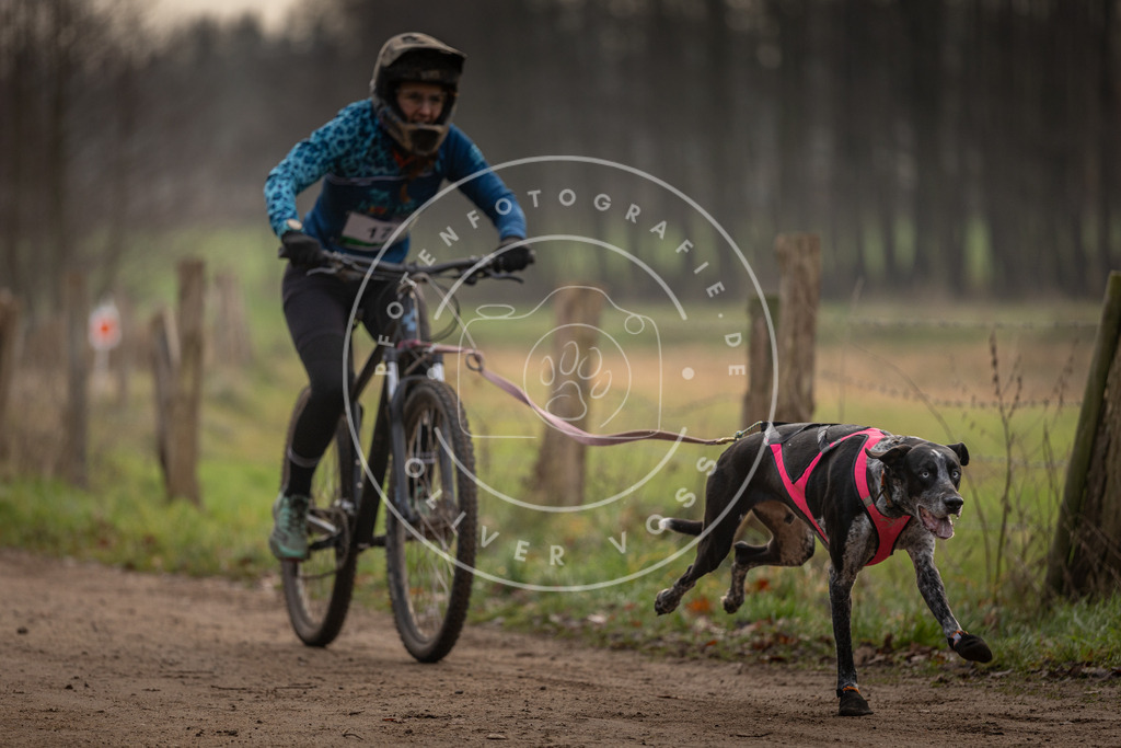Pfotenfotografie_DV3A1904 | Hundefotografie, Tierfotograf, Pfotenfotografie, Fotoshooting Hund, Hunde Portrait, Hundesport, Hundeportraits, Heideshooting, Hunde, Sportfotograf, Hundefotograf, Turnierhundsport, THS,  - Realisiert mit Pictrs.com