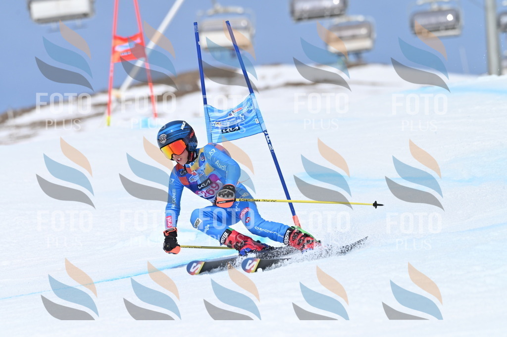 BGV_2238 | holidayphoto