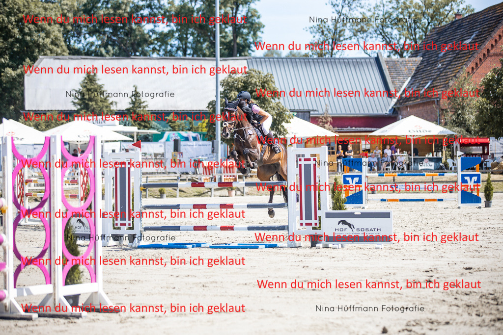 BK1A6727 | Turnierbilder Turnierfotos Nina Hüffmann Turnierfotografie Pferdefotografie Tierzeichnung Haustierzeichnung Pferdezeichnung Hundezeichnung Videograf  - Realisiert mit Pictrs.com