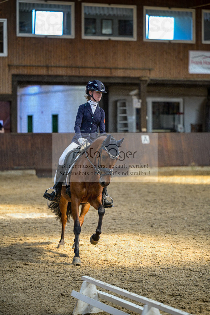Reitturnier Voxtrup | Entdecke hochwertige Reitturnierfotos von Foto Oger. Professionell, emotional und authentisch – jetzt Lieblingsmomente im Shop bestellen.Deutschlandweite Turnierfotografie. - Realisiert mit Pictrs.com