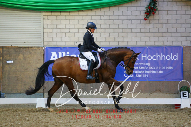 IMG_2987 | Turnierfotos kaufen im Webshop von Daniel Kuhl Photography – entdecke professionelle Reitsportfotos aus Turnieren & Events. Hochwertige Turnierbilder online bestellen & sichern. Jetzt Fotos von Reitsportturnieren kaufen!