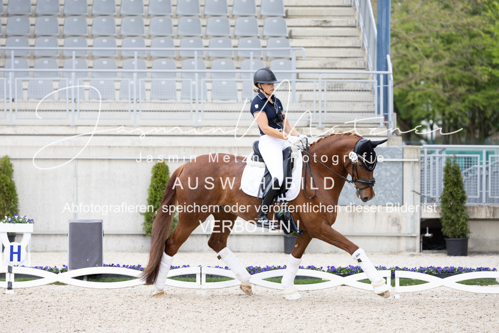 126A0719 | jasminmetznerfotografie