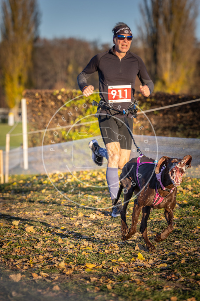 CaniXpix_DV3A4784 | Hundefotografie, Tierfotograf, Pfotenfotografie, Fotoshooting Hund, Hunde Portrait, Hundesport, Hundeportraits, Heideshooting, Hunde, Sportfotograf, Hundefotograf, Turnierhundsport, THS,  - Realisiert mit Pictrs.com