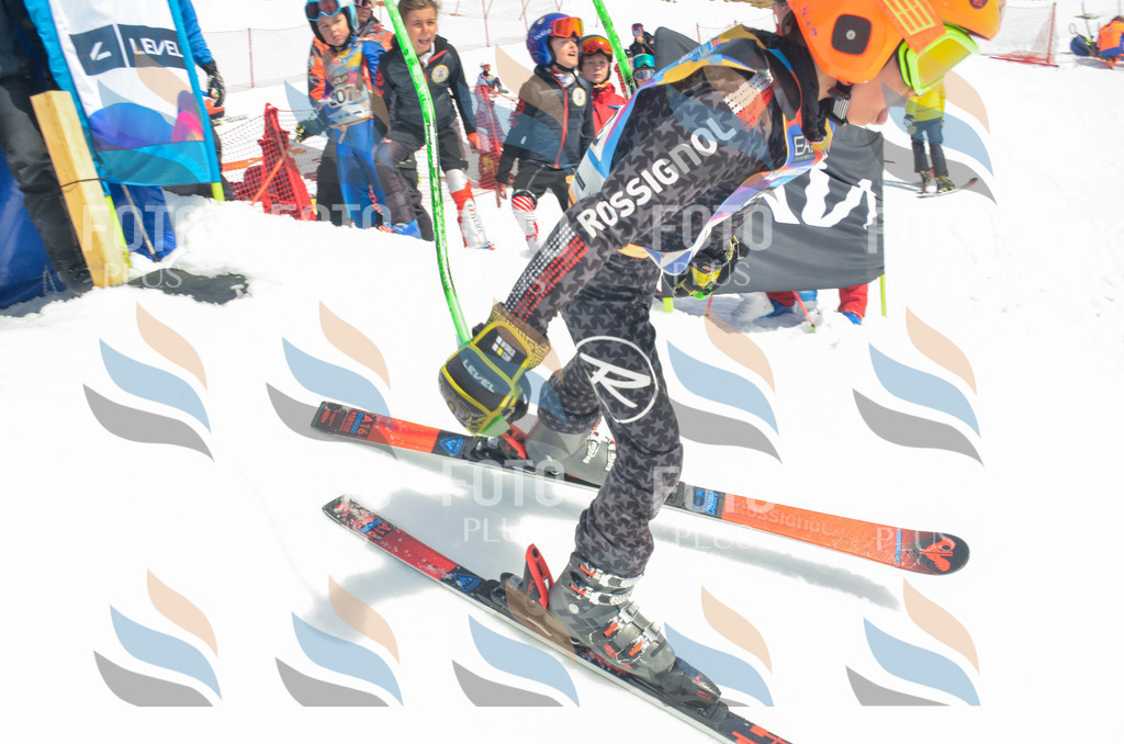 _ELE6488 | holidayphoto