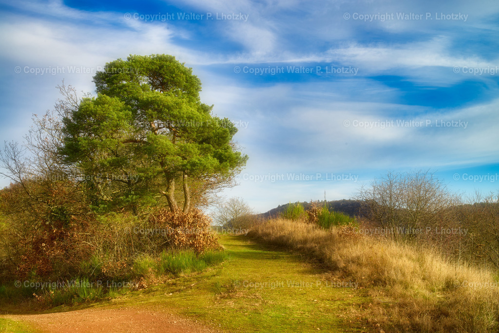 L1004364 | wlstudio - Realisiert mit Pictrs.com