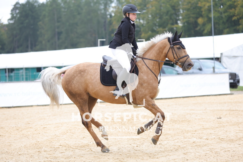 0P6A7581 | Willkommen bei Brunnmayr - Design & Fotografie – Ihrem Spezialisten für Reitturniere und Pferdeveranstaltungen in Oberösterreich, Salzburg und Bayern! Seit über 17 Jahren sind wir leidenschaftlich dabei.