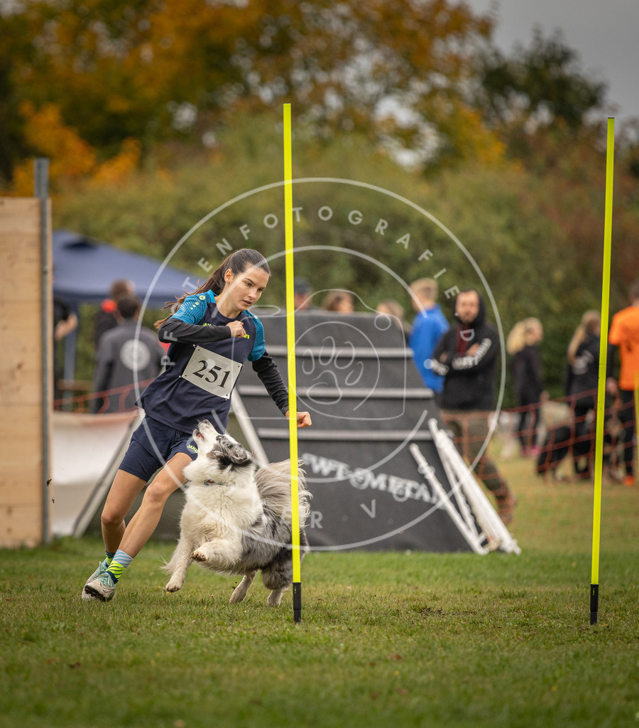 Pfotenfotografie_DV3A6371 | Hundefotografie, Tierfotograf, Pfotenfotografie, Fotoshooting Hund, Hunde Portrait, Hundesport, Hundeportraits, Heideshooting, Hunde, Sportfotograf, Hundefotograf, Turnierhundsport, THS,  - Realisiert mit Pictrs.com