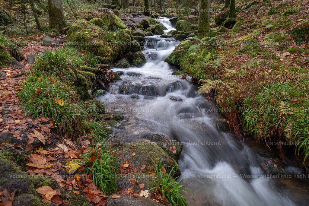 Gertelbachfälle | im Schwarzwald - Realisiert mit Pictrs.com