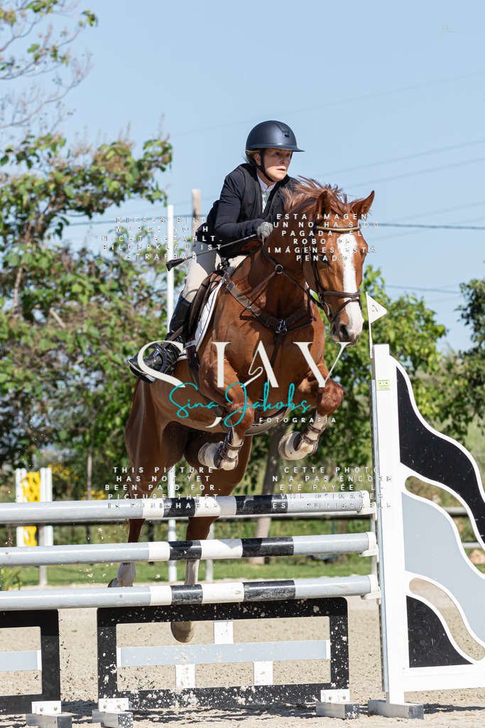 IMG_1004 | s-jay-photography - Realisiert mit Pictrs.com